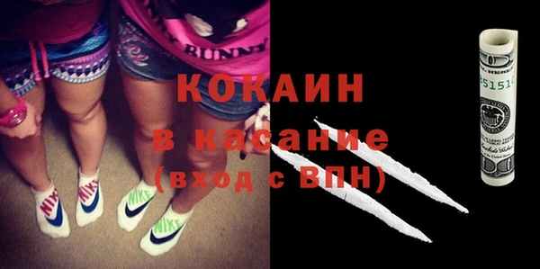 стаф Абаза