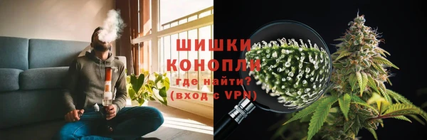 шишки Абинск
