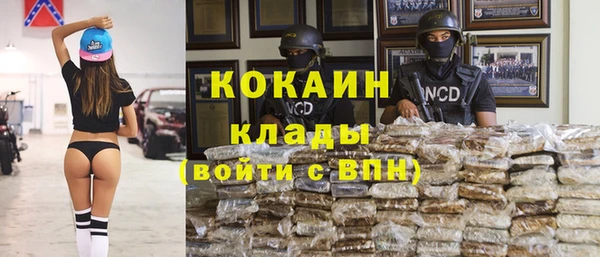 шишки Абинск