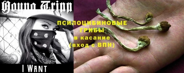стаф Абаза